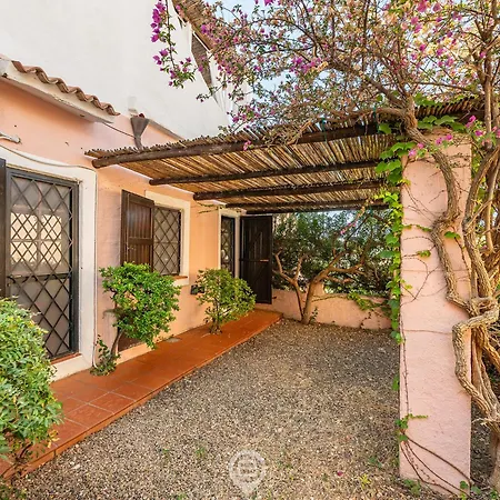 Blue Eden Vista Daire *